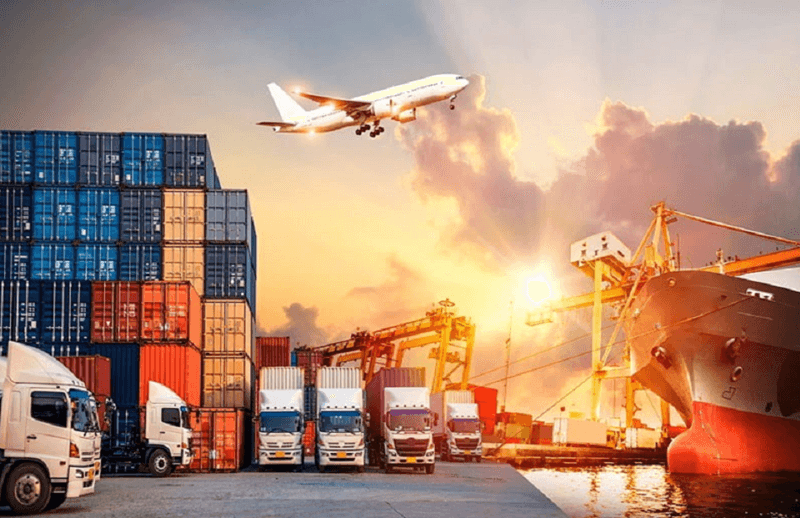 Thị trường xuất khẩu tượng: Xu hướng và cơ hội mới